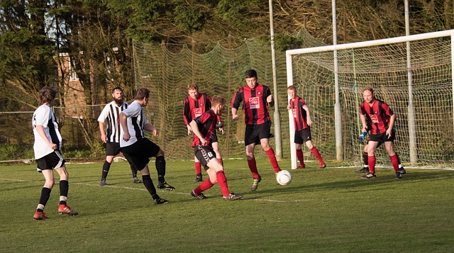 现出了卓越 现出了卓越