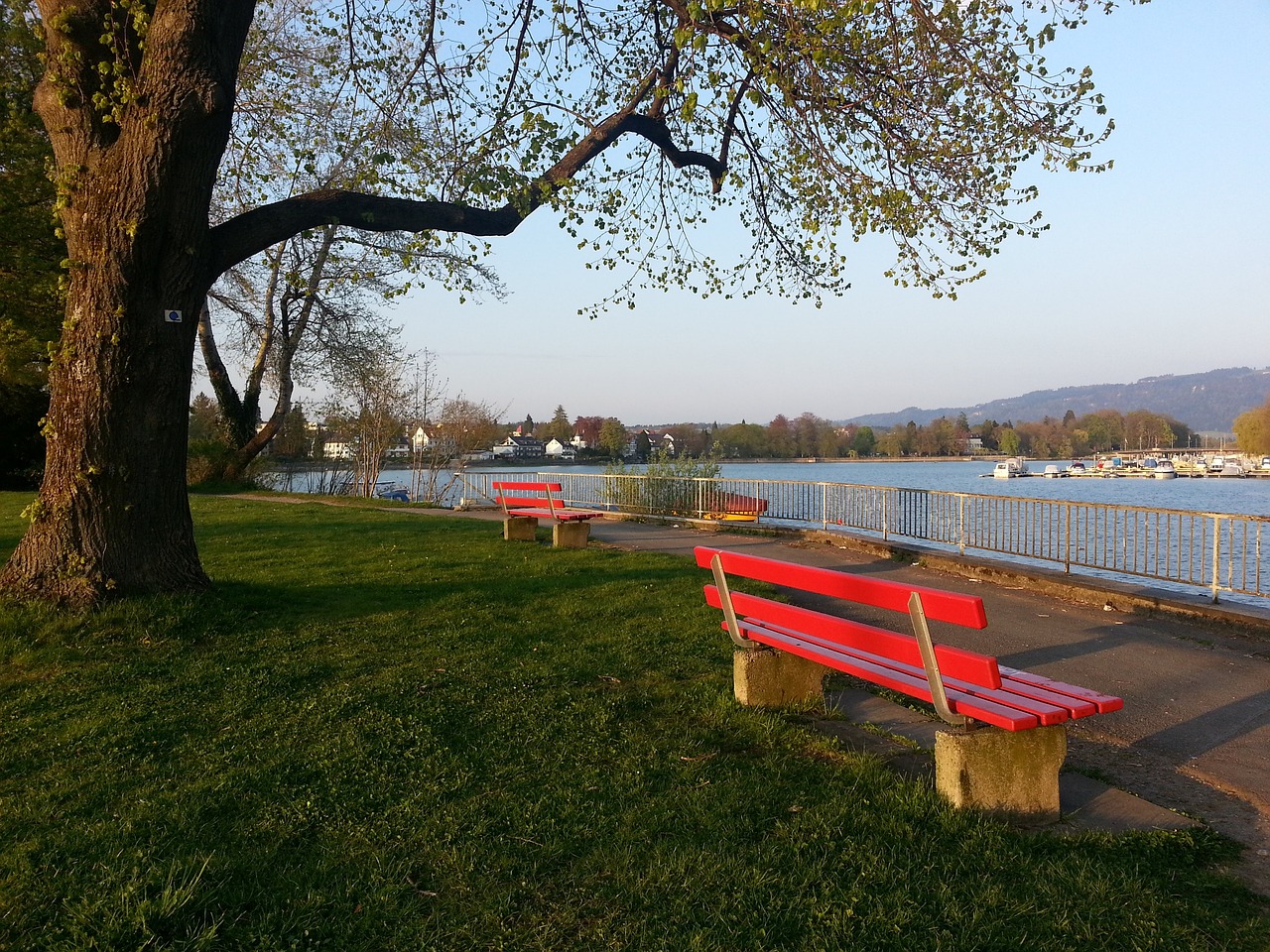 比赛中无可 比赛中无可