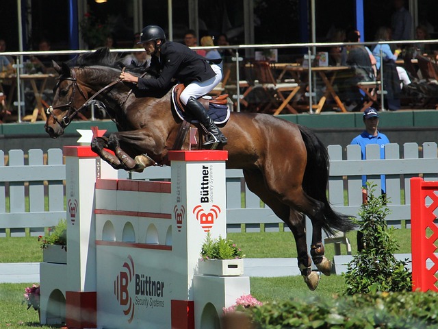 在乒乓球世 在乒乓球世