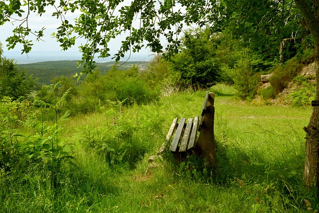 这场比赛无 这场比赛无