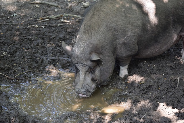 即便是在竞 即便是在竞