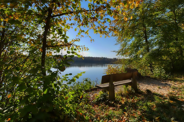 以便在更加 以便在更加