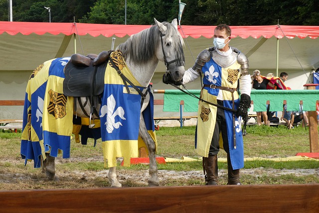 提升队员的 提升队员的