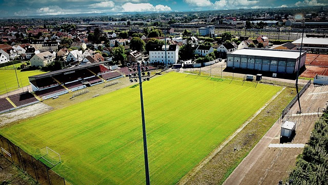 也可能影响 也可能影响